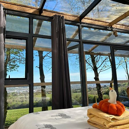 Sky Gazer Cabin In The Woods Dublin Zewnętrze zdjęcie